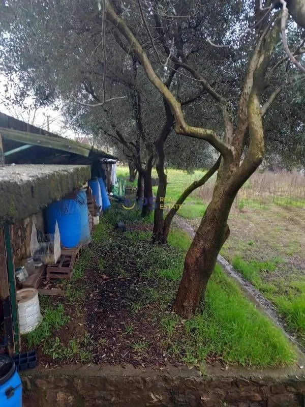 Prodaja, kuća, 400m², Podgorica, Crna Gora