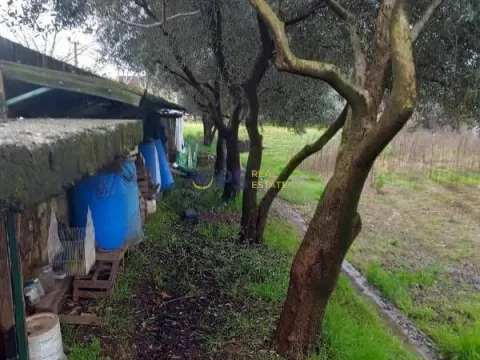 Prodaja, kuća, 400m², Podgorica, Crna Gora - image 6