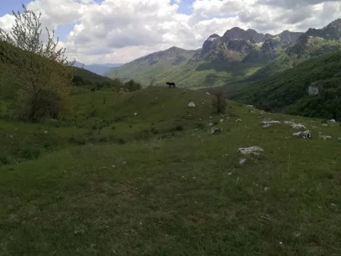 Prodaja, plac, 32013m², Gornje Lipovo, Kolašin - image 4