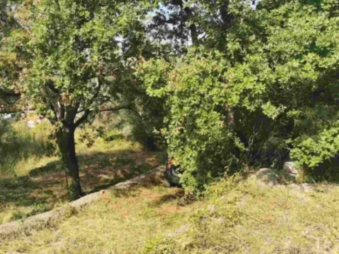 Prodaja, plac, 3200m², Sutomore, Bar - image 5