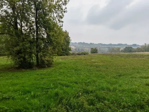 Prodaja, plac, 33900m², Velika Ivanča, Mladenovac - image 12