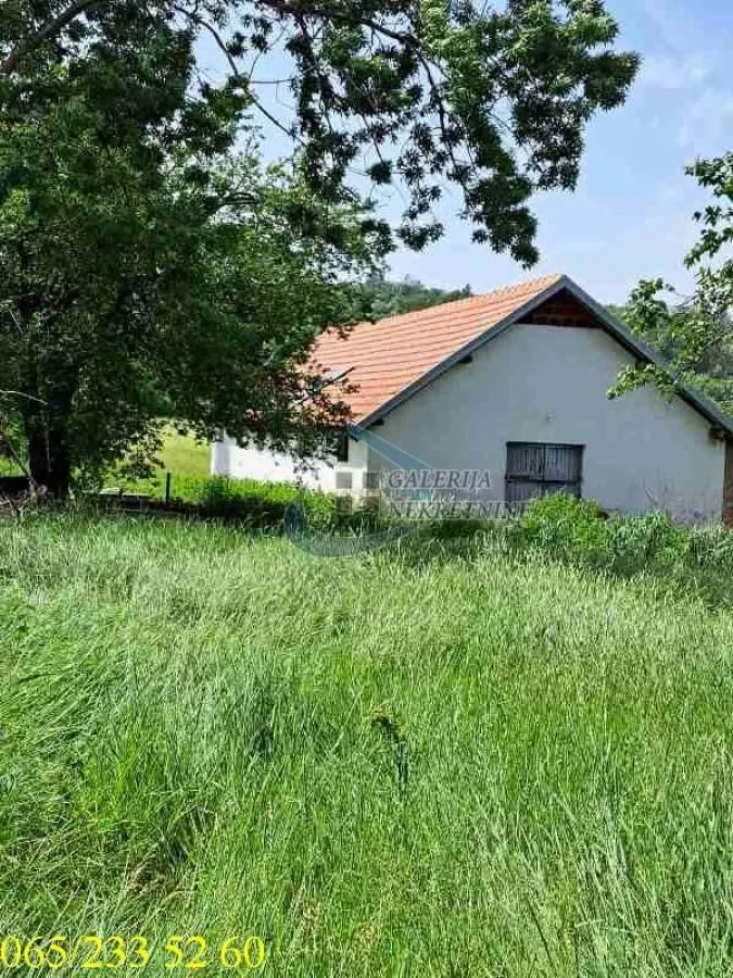 Pogled na kuću sa dvorištem okruženim zelenilom.