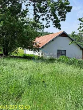 Pogled na kuću sa dvorištem okruženim zelenilom. - image 18