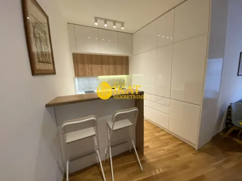 Izdavanje, jednosoban stan, 44m², Botanička Bašta, Palilula Sve Podlokacije - image 6