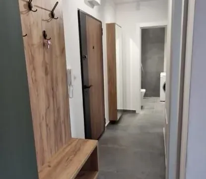 Izdavanje, dvosoban stan, 45m², Grbavica, Novi Sad Sve Podlokacije - image 2