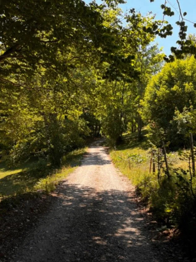 Prodaja, plac, 12000m², Žabljak, Crna Gora