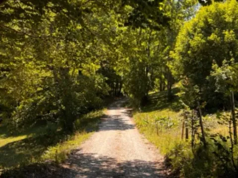 Prodaja, plac, 12000m², Žabljak, Crna Gora - image 2