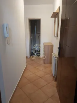 Rent, one bedroom apartment, 28m², Telep, Novi Sad Sve Podlokacije - image 5