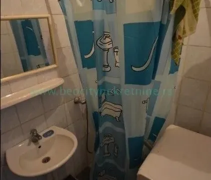 Sale, house, 300m², Mirijevo, Žabari - image 9