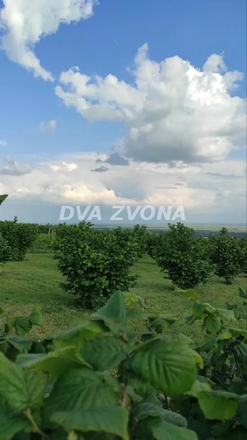 Prodaja, plac, 6800m², Stari Slankamen, Inđija