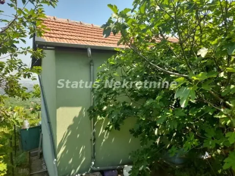 View of the exterior part of the house surrounded by greenery. - image 30