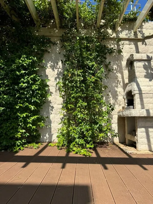 Sale, house, 306m², Dobra Voda, Budva