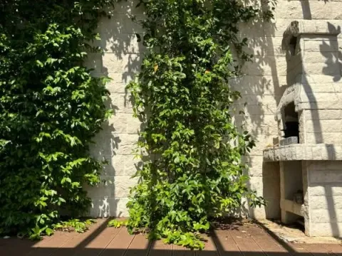 Sale, house, 306m², Dobra Voda, Budva - image 8