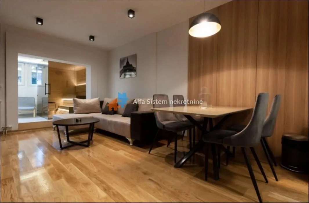 Izdavanje, dvosoban stan, 55m², Vračar Sve Podlokacije, Beograd