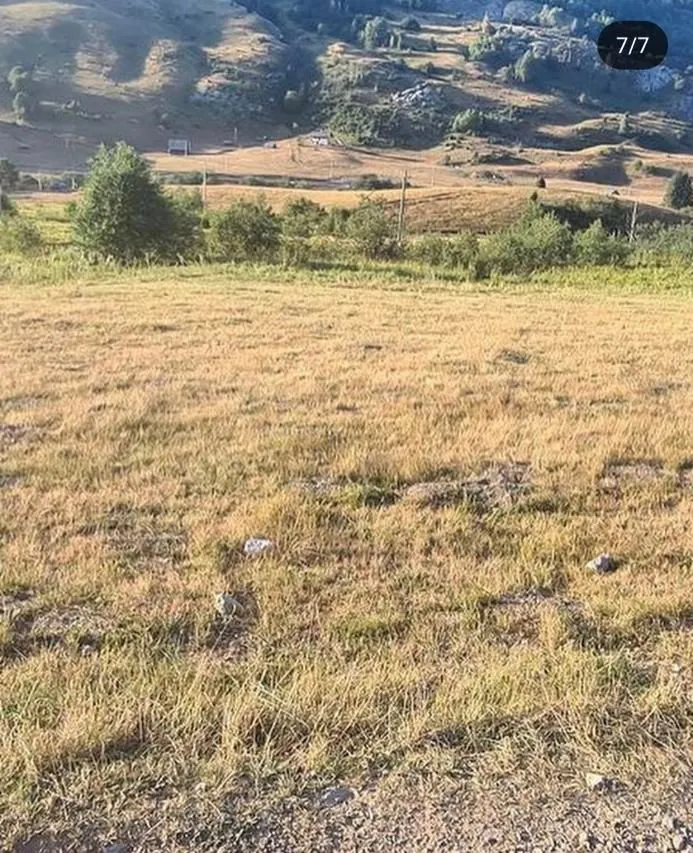 Prodaja, plac, 10000m², Berane, Crna Gora