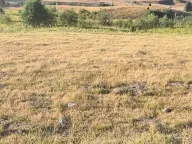 Sale, land lot, 10000m², Berane, Crna Gora - image 5