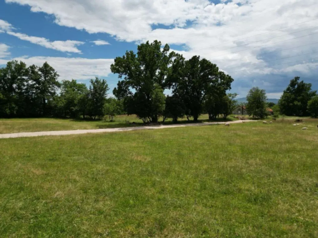 Prodaja, plac, 8000m², Donji Martinići, Danilovgrad