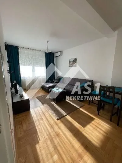 Izdavanje, dvosoban stan, 36m², Centar, Novi Sad