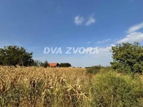 Prodaja, plac, 1100m², Čortanovci, Inđija - image 4