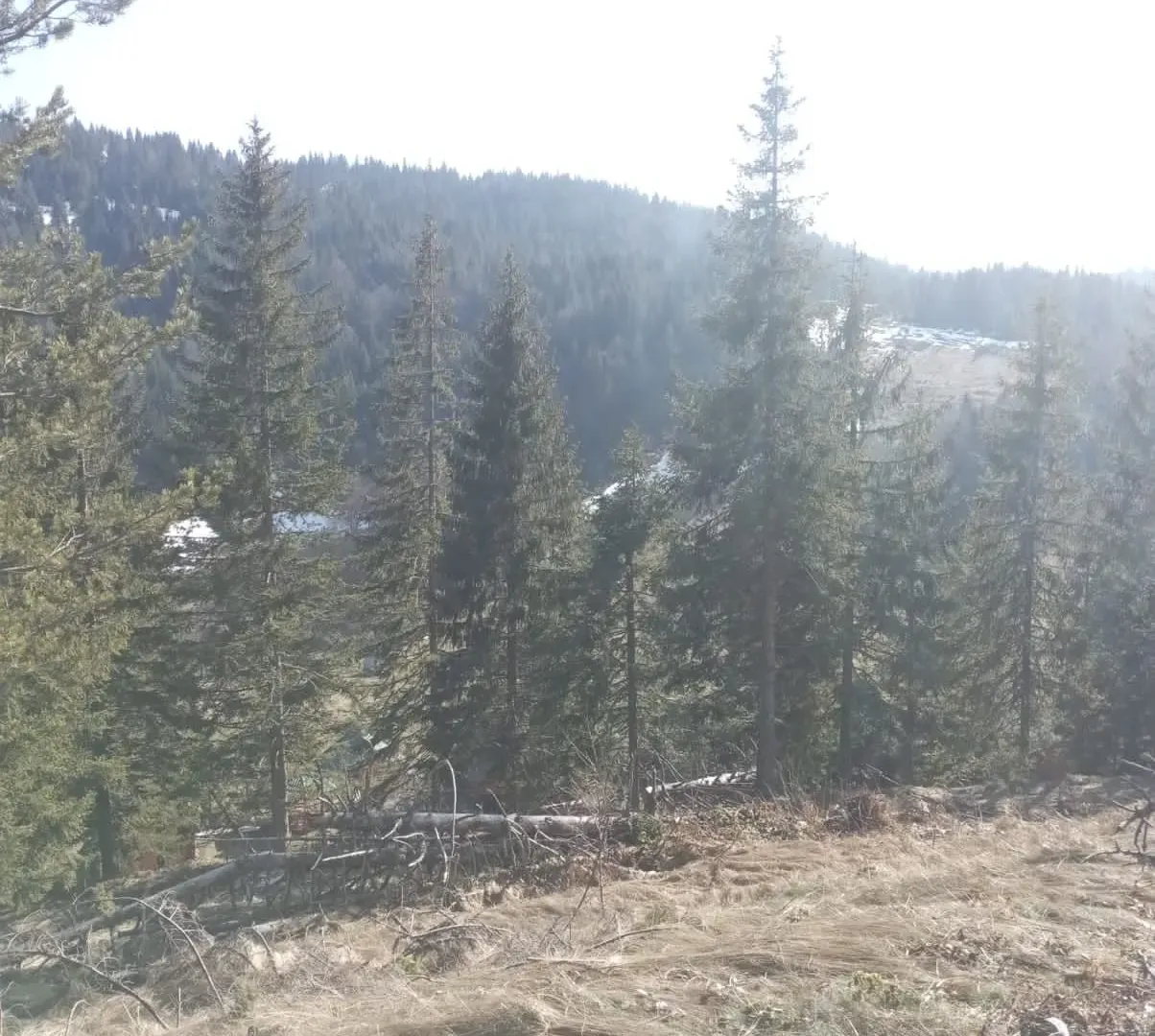 Prodaja, plac, 500m², Lubnice, Berane