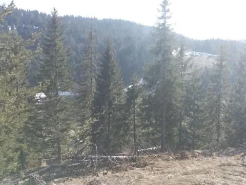 Prodaja, plac, 500m², Lubnice, Berane - image 2