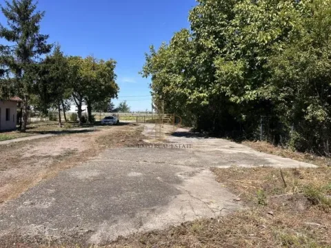 Rent, land lot, 3500m², Ovča, Palilula Sve Podlokacije - image 11