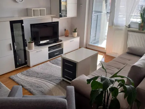 Prodaja, jednosoban stan, 35m², Novi Sad Sve Podlokacije, Novi Sad - image 13