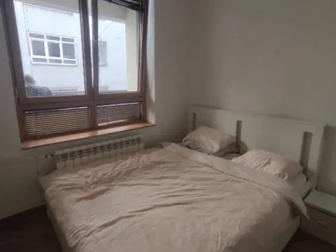 Izdavanje, jednosoban stan, 48m², Vukov Spomenik, Zvezdara Sve Podlokacije - image 4