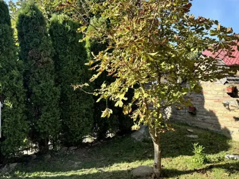 Sale, house, 61m², Ruma, Srbija - image 4