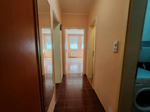 Prodaja, jednosoban stan, 45m², Detelinara, Novi Sad Sve Podlokacije - image 3