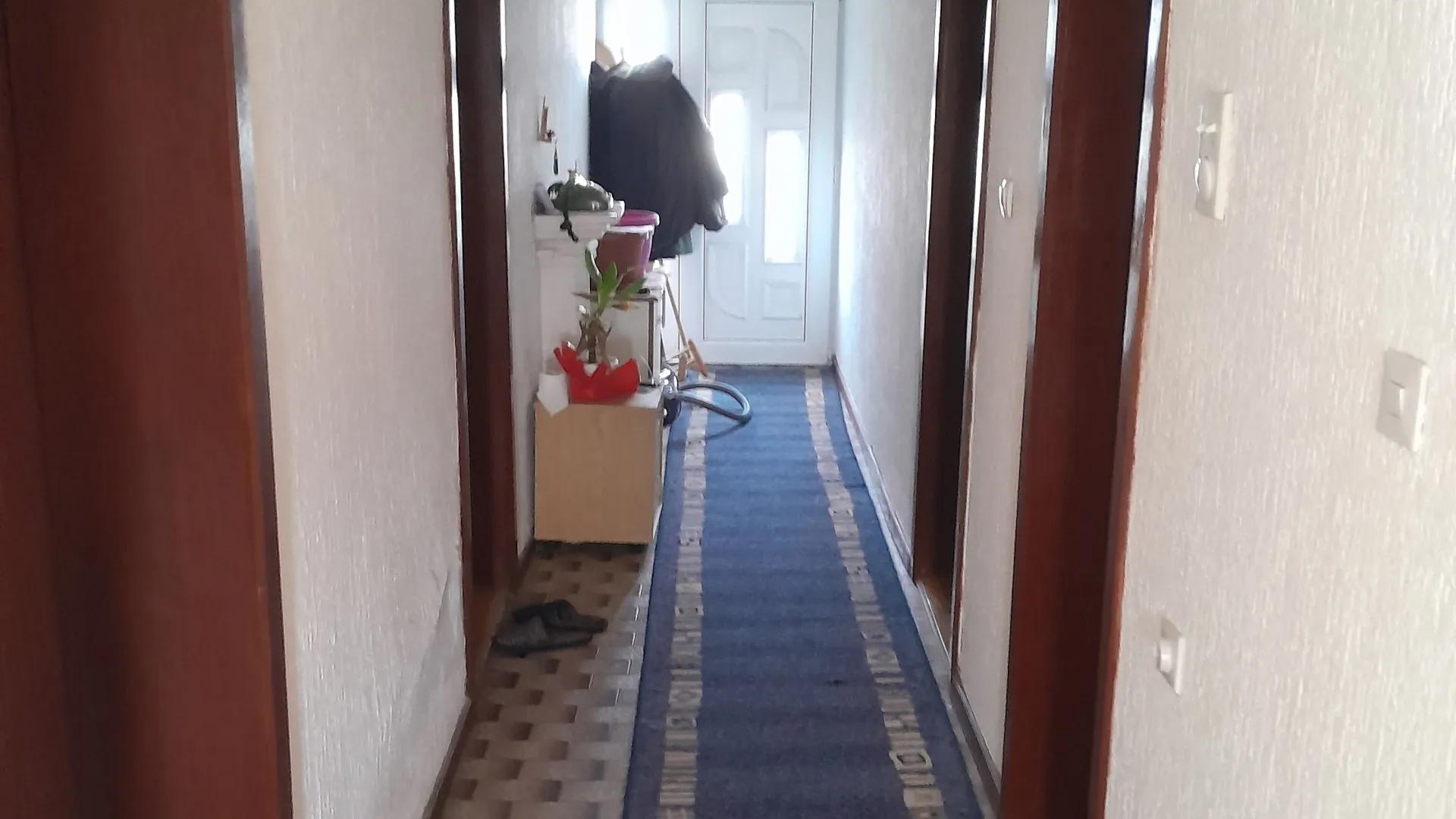 Sale, house, 200m², Bački Petrovac, Novi Sad