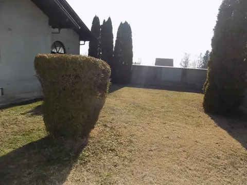 Izdavanje, poslovni prostor, 400m², Donje Vidovo, Paraćin - image 2