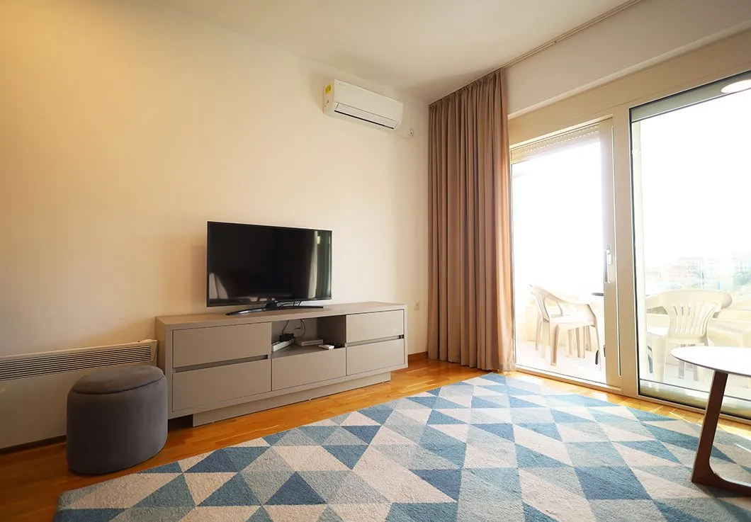 Living room with a TV, rug, and access to the terrace.