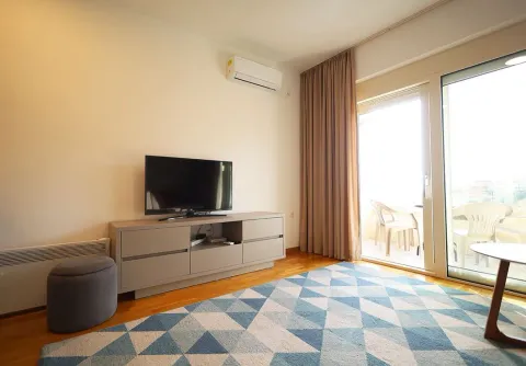 Living room with a TV, rug, and access to the terrace. - image 11
