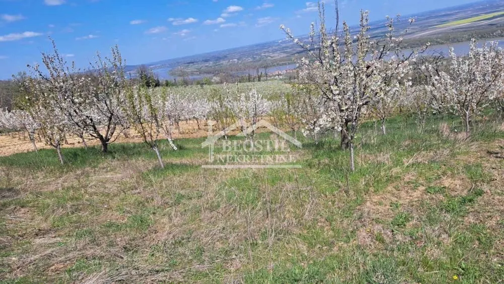 Prodaja, plac, 1800m², Ritopek, Grocka