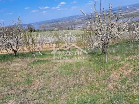 Zemljište in Ritopek