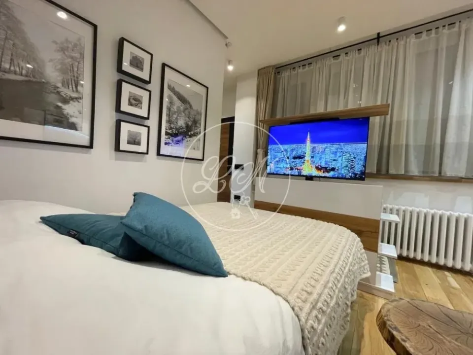 Rent, one bedroom apartment, 27m², Novi Beograd Sve Podlokacije, Beograd
