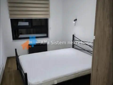 Izdavanje, trosoban stan, 60m², Južni Bulevar, Vračar Sve Podlokacije - image 7