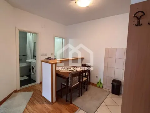 Izdavanje, dvosoban stan, 45m², Vračar Hram, Vračar Sve Podlokacije - image 6