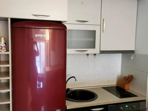 Rent, one bedroom apartment, 40m², Salajka, Novi Sad Sve Podlokacije - image 4