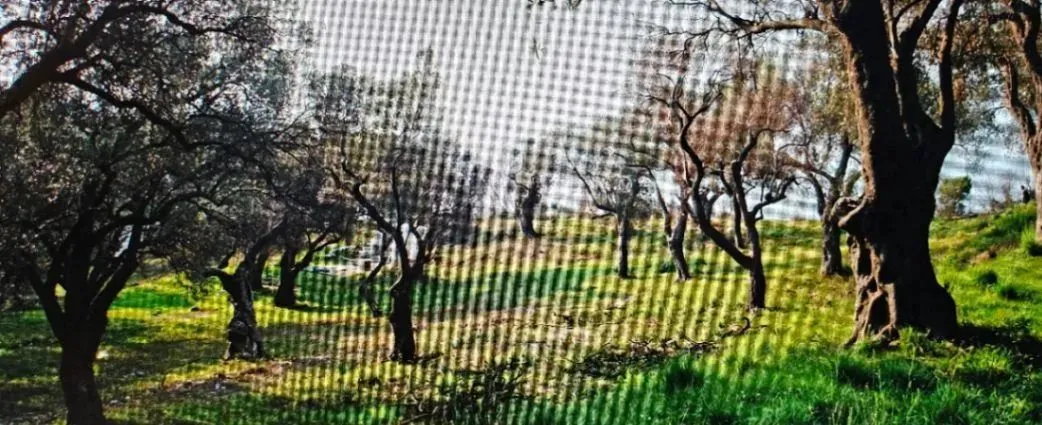 Sale, land lot, 1208m², Budva, Crna Gora