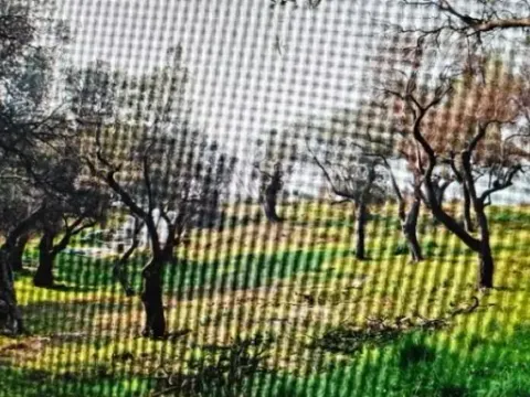 Prodaja, plac, 1208m², Budva, Crna Gora