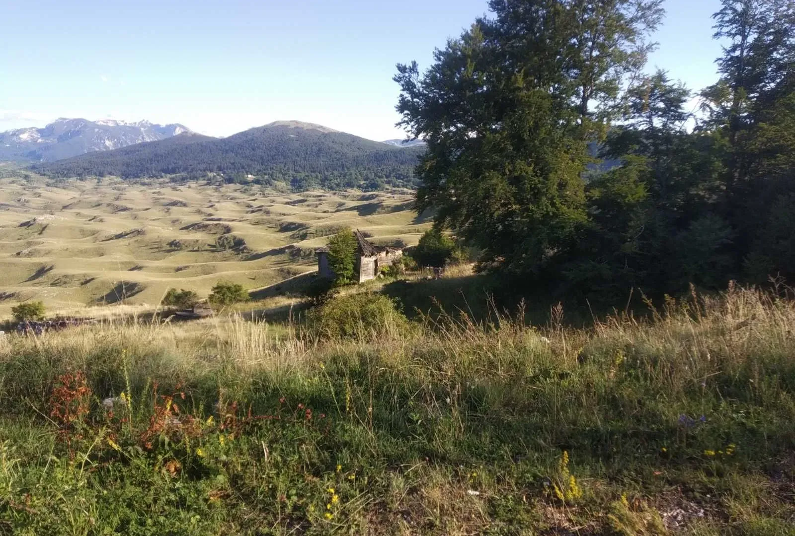 Prodaja, plac, 500m², Murtovina, Podgorica
