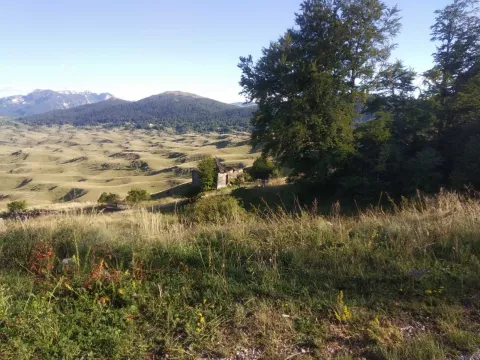 Prodaja, plac, 500m², Murtovina, Podgorica - image 2