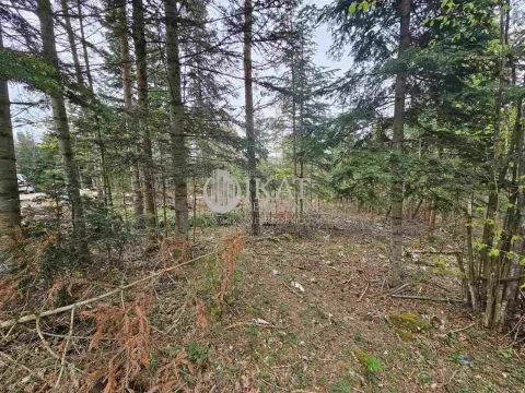 Sale, land lot, 500m², Tara, Srbija - image 2