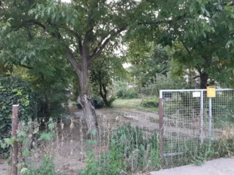 Prodaja, kuća, 500m², Novi Beograd Blok 19, Novi Beograd Sve Podlokacije - image 5