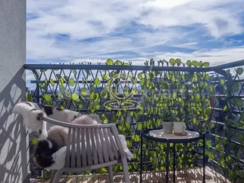 Rent, two bedroom apartment, 56m², Salajka, Novi Sad Sve Podlokacije - image 6