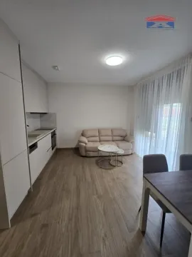 Izdavanje, jednosoban stan, 30m², Sremska Kamenica, Petrovaradin - image 3