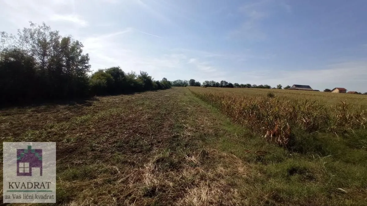 Sale, land lot, 5400m², Stubline, Obrenovac