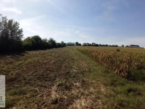 Sale, land lot, 54m², Stubline, Obrenovac